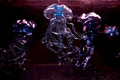 Susanna Schaden, aus der Serie Plastic Medusa © Elvira Faltermeier, 2022