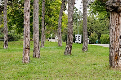 Photo: ©Hannah Mayr